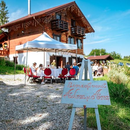 Bed and Breakfast Tulean Cabin Săcel Zewnętrze zdjęcie