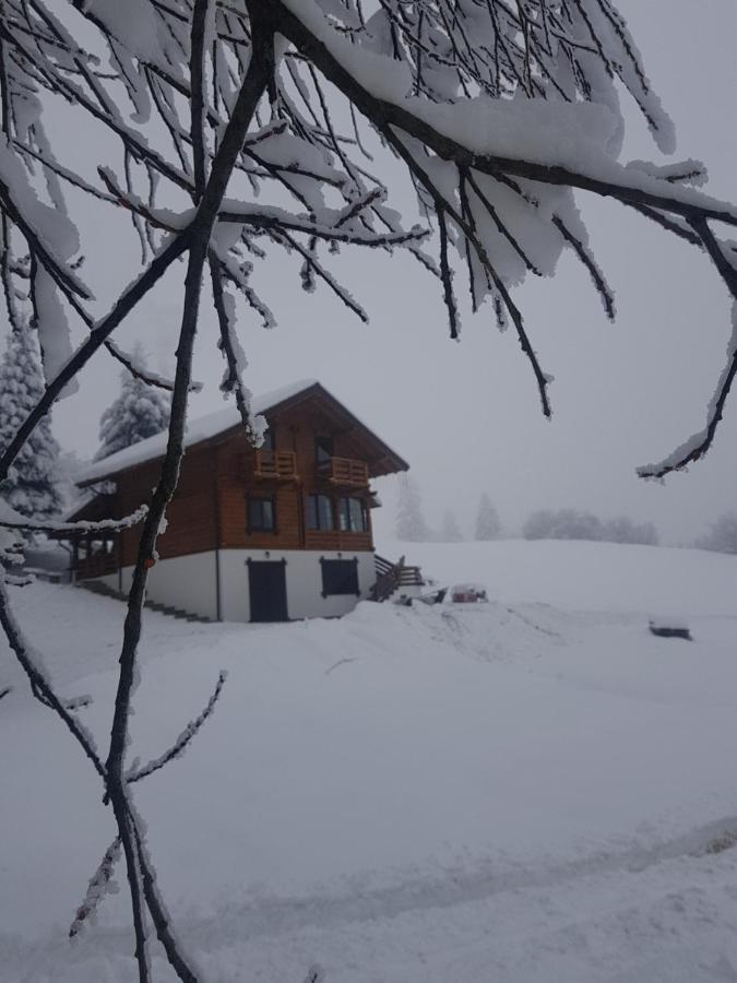 Bed and Breakfast Tulean Cabin Săcel Zewnętrze zdjęcie