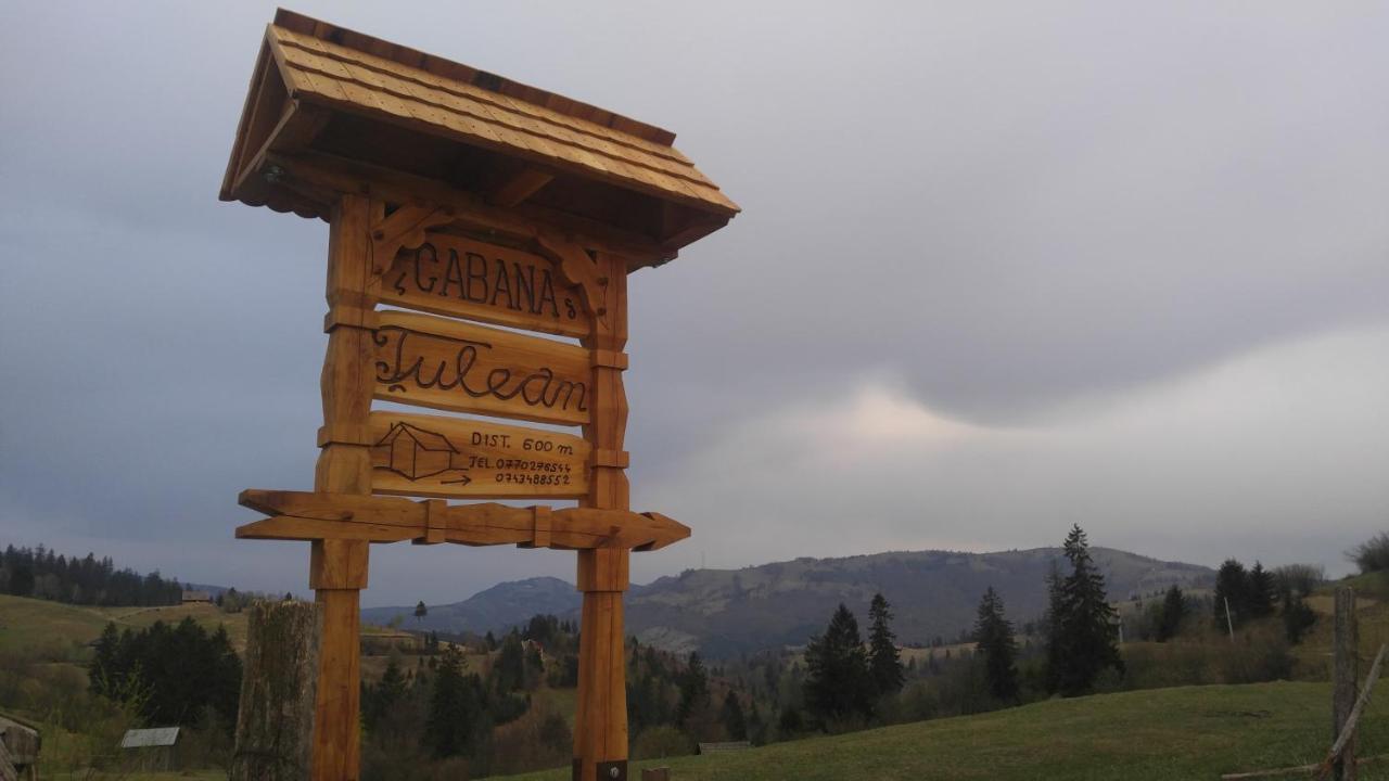 Tulean Cabin Săcel Zewnętrze zdjęcie