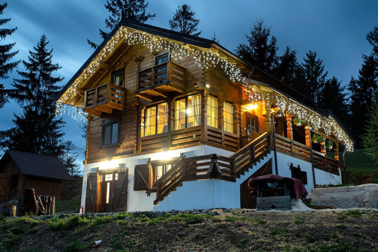 Bed and Breakfast Tulean Cabin Săcel Zewnętrze zdjęcie