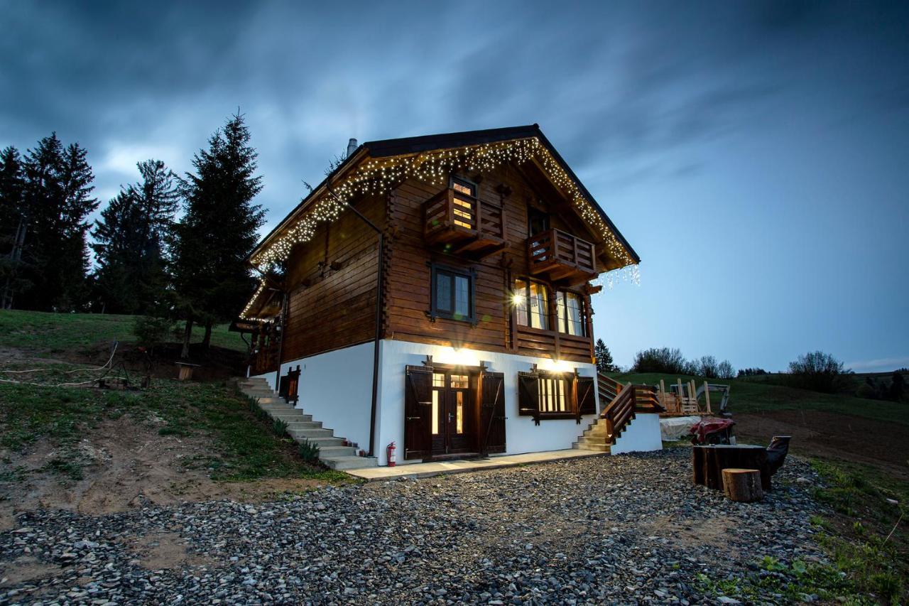 Bed and Breakfast Tulean Cabin Săcel Zewnętrze zdjęcie