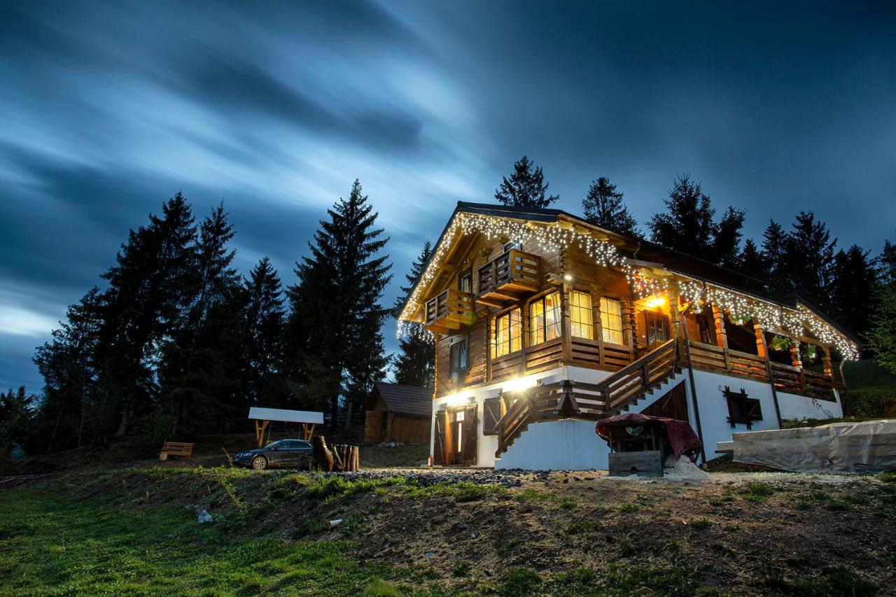 Bed and Breakfast Tulean Cabin Săcel Zewnętrze zdjęcie