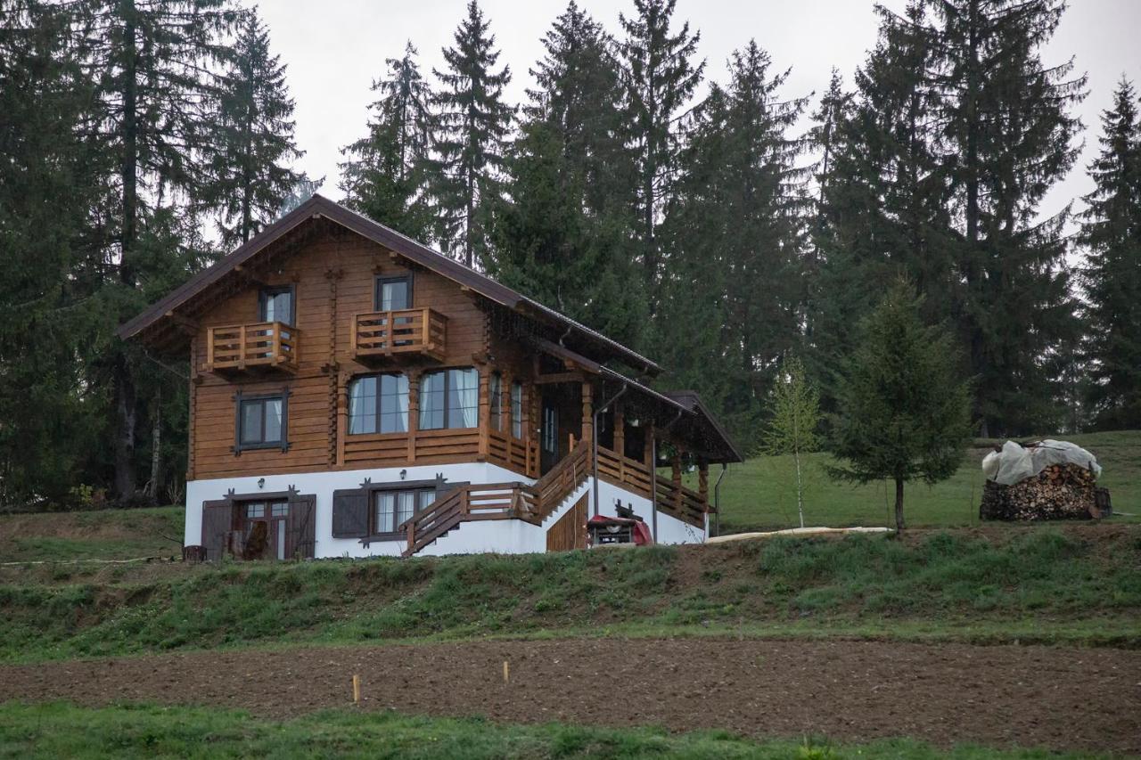 Tulean Cabin Săcel Zewnętrze zdjęcie