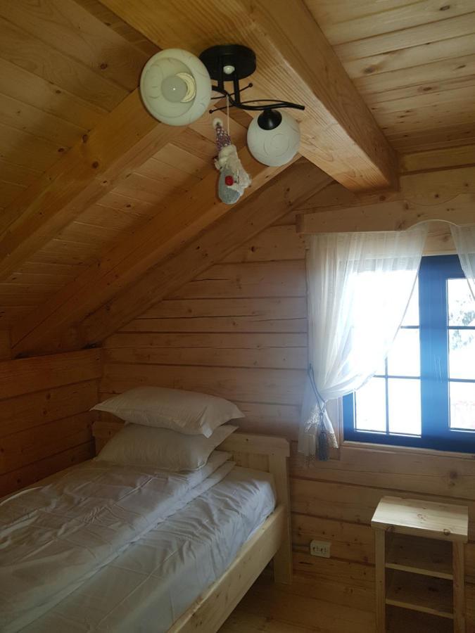 Bed and Breakfast Tulean Cabin Săcel Zewnętrze zdjęcie