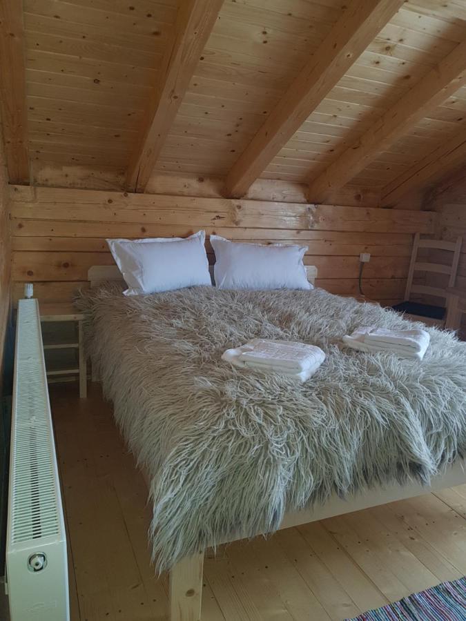 Bed and Breakfast Tulean Cabin Săcel Zewnętrze zdjęcie