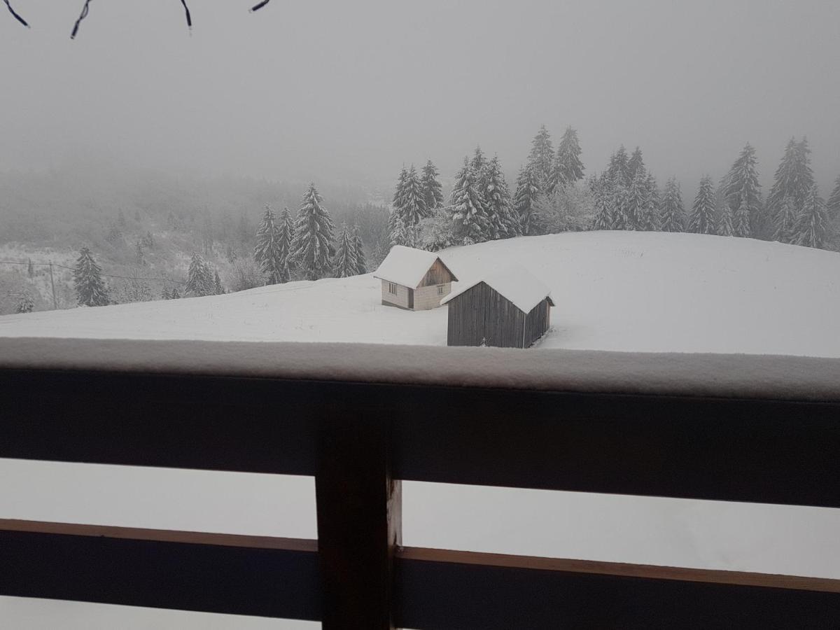 Tulean Cabin Săcel Zewnętrze zdjęcie