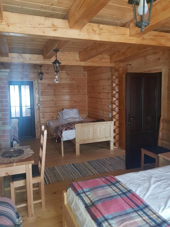 Bed and Breakfast Tulean Cabin Săcel Zewnętrze zdjęcie