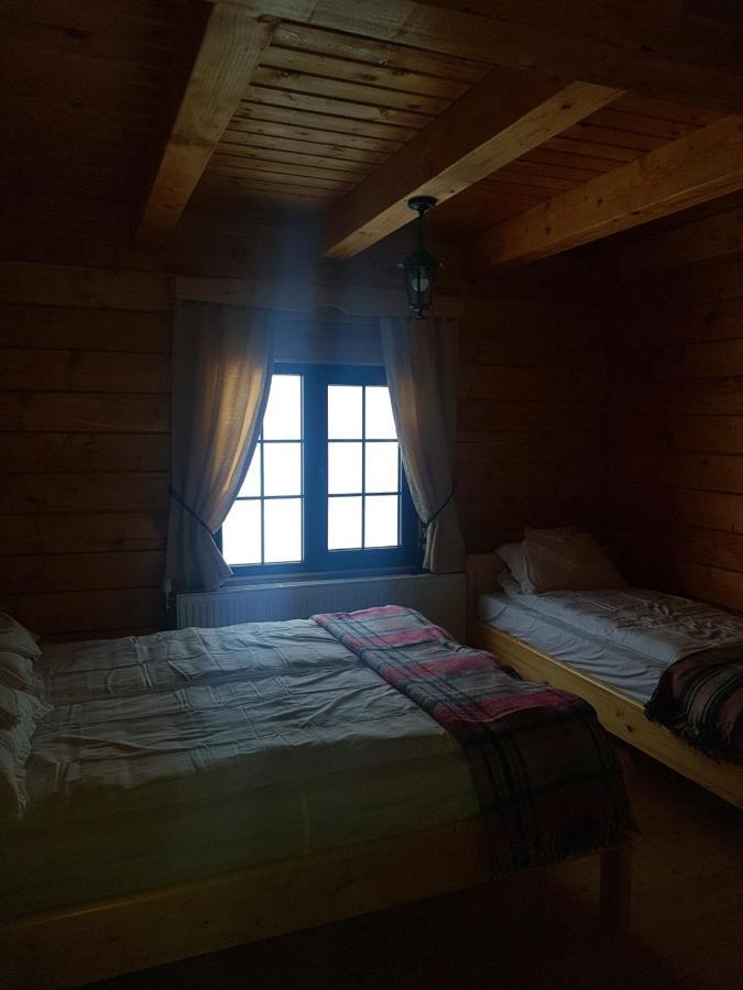 Bed and Breakfast Tulean Cabin Săcel Zewnętrze zdjęcie