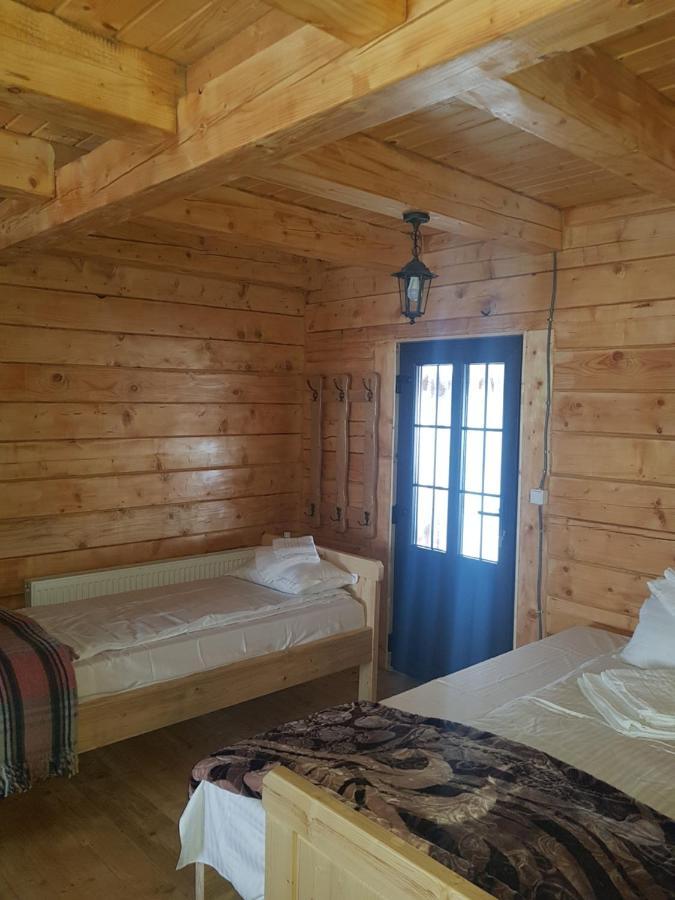 Bed and Breakfast Tulean Cabin Săcel Zewnętrze zdjęcie