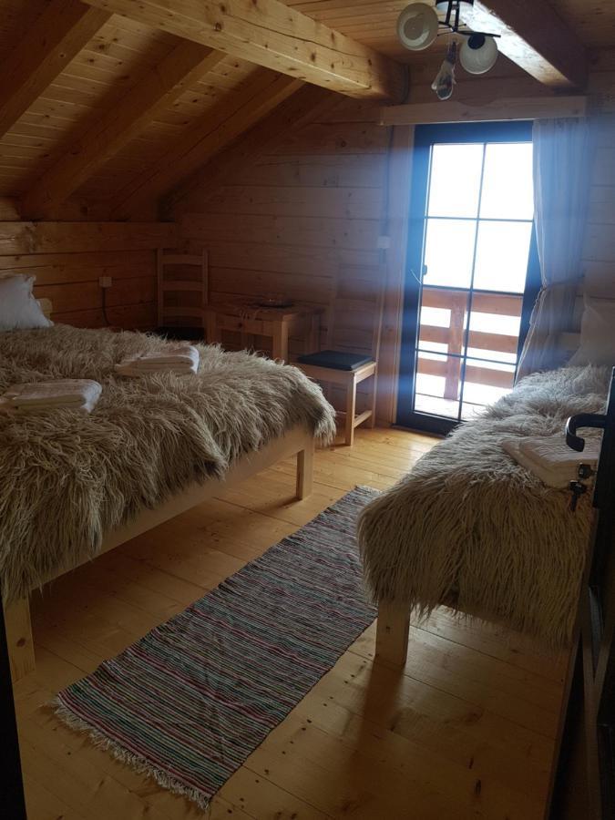 Bed and Breakfast Tulean Cabin Săcel Zewnętrze zdjęcie