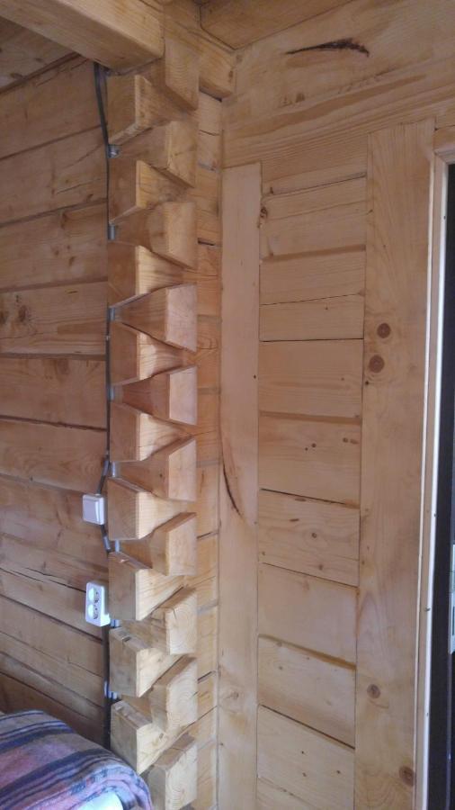 Tulean Cabin Săcel Zewnętrze zdjęcie