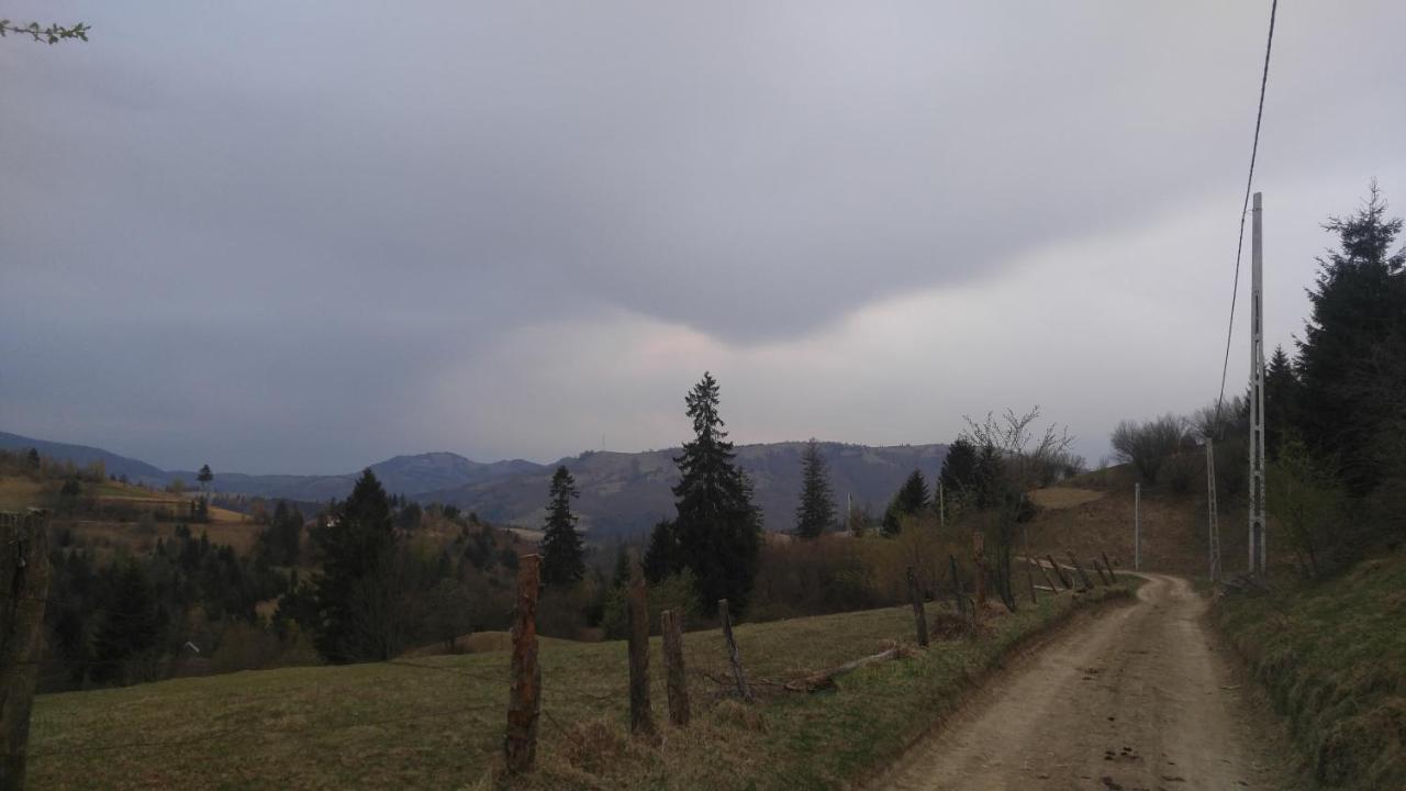 Bed and Breakfast Tulean Cabin Săcel Zewnętrze zdjęcie