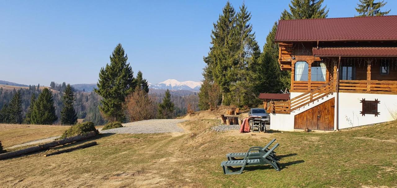 Bed and Breakfast Tulean Cabin Săcel Zewnętrze zdjęcie