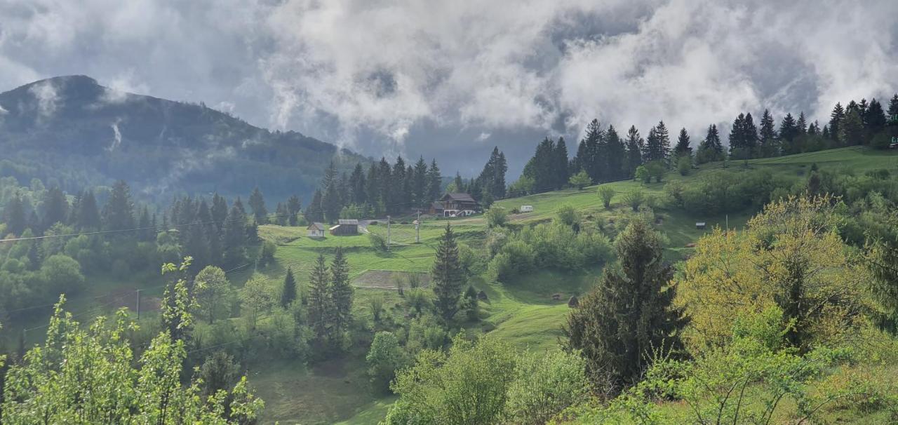 Bed and Breakfast Tulean Cabin Săcel Zewnętrze zdjęcie