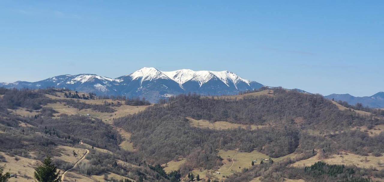 Bed and Breakfast Tulean Cabin Săcel Zewnętrze zdjęcie