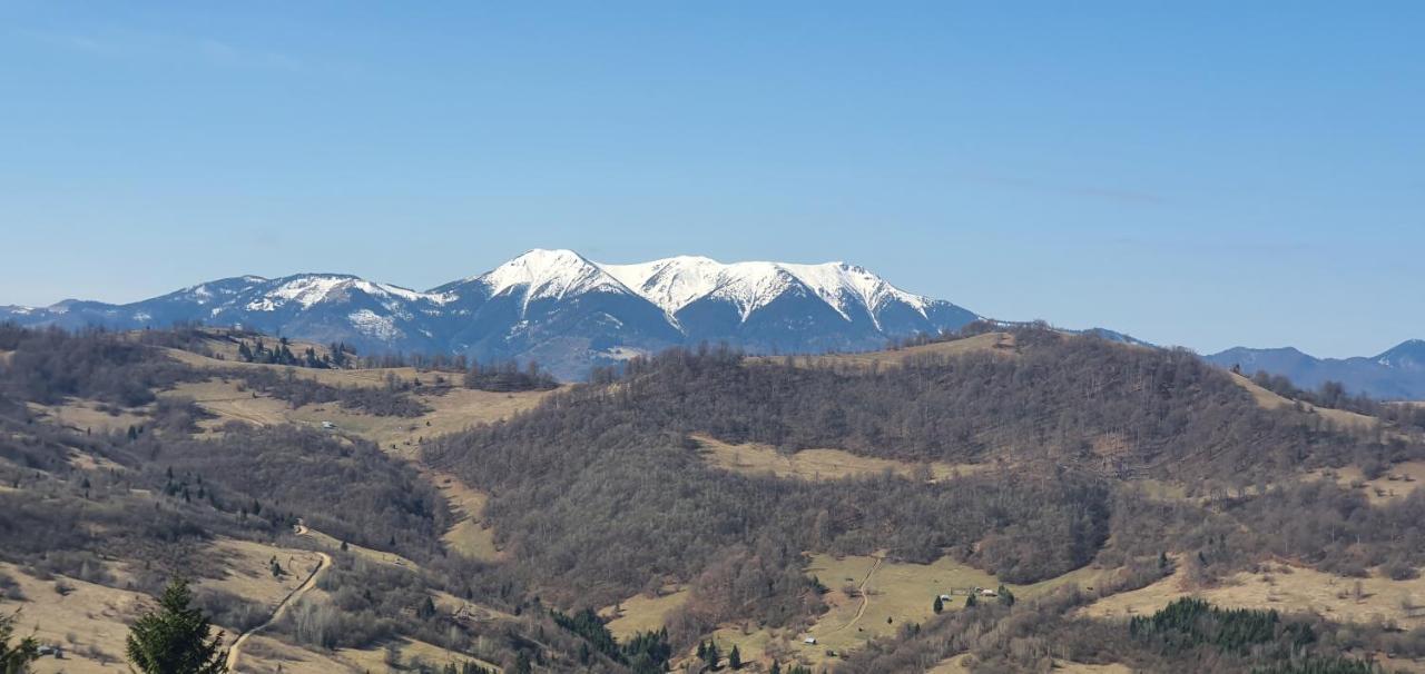 Tulean Cabin Săcel Zewnętrze zdjęcie