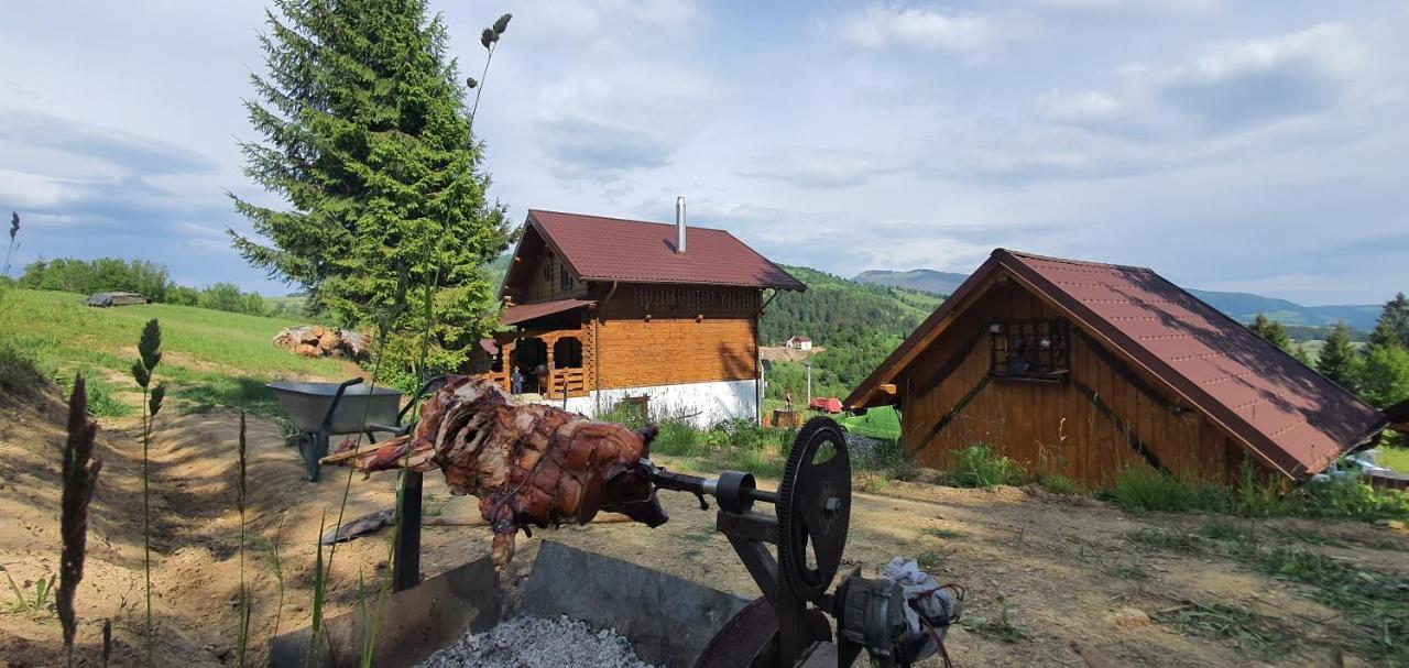 Bed and Breakfast Tulean Cabin Săcel Zewnętrze zdjęcie