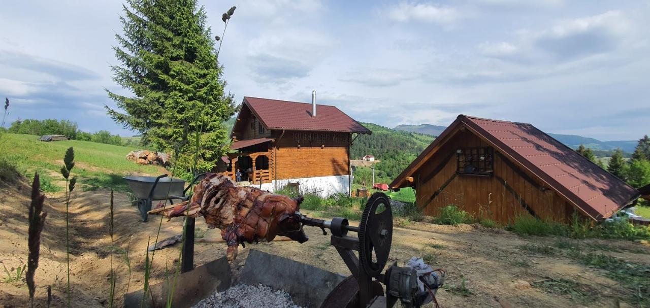Tulean Cabin Săcel Zewnętrze zdjęcie