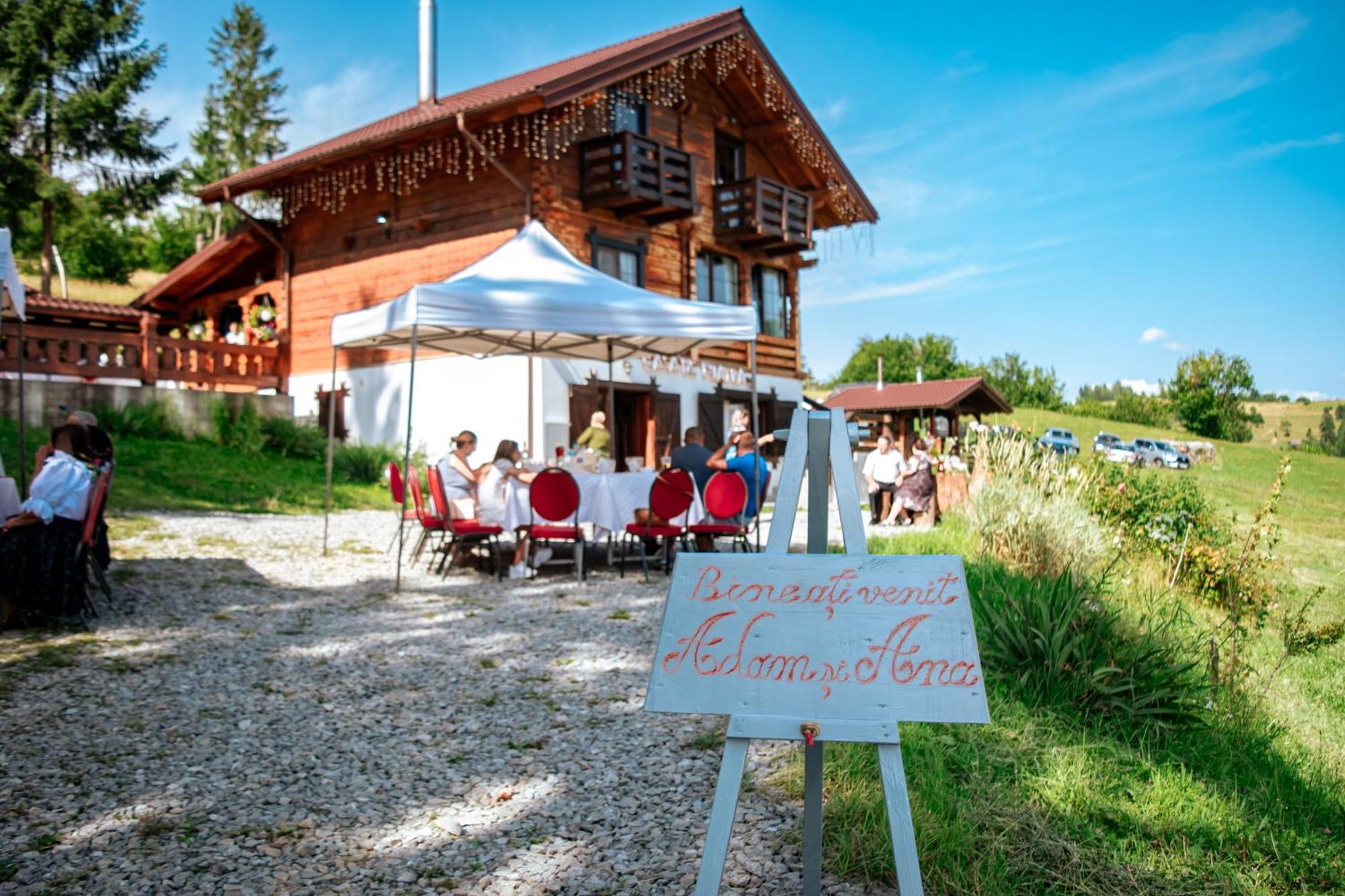 Bed and Breakfast Tulean Cabin Săcel Zewnętrze zdjęcie